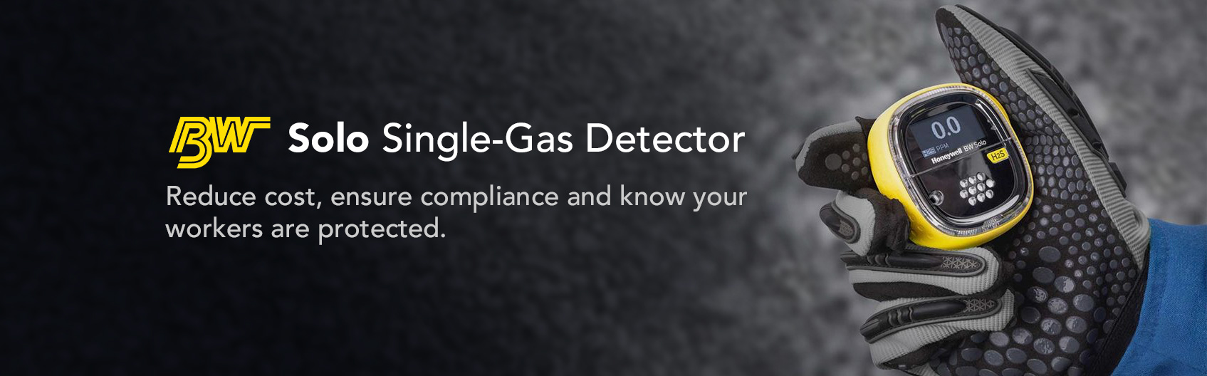 BW Gas Detector